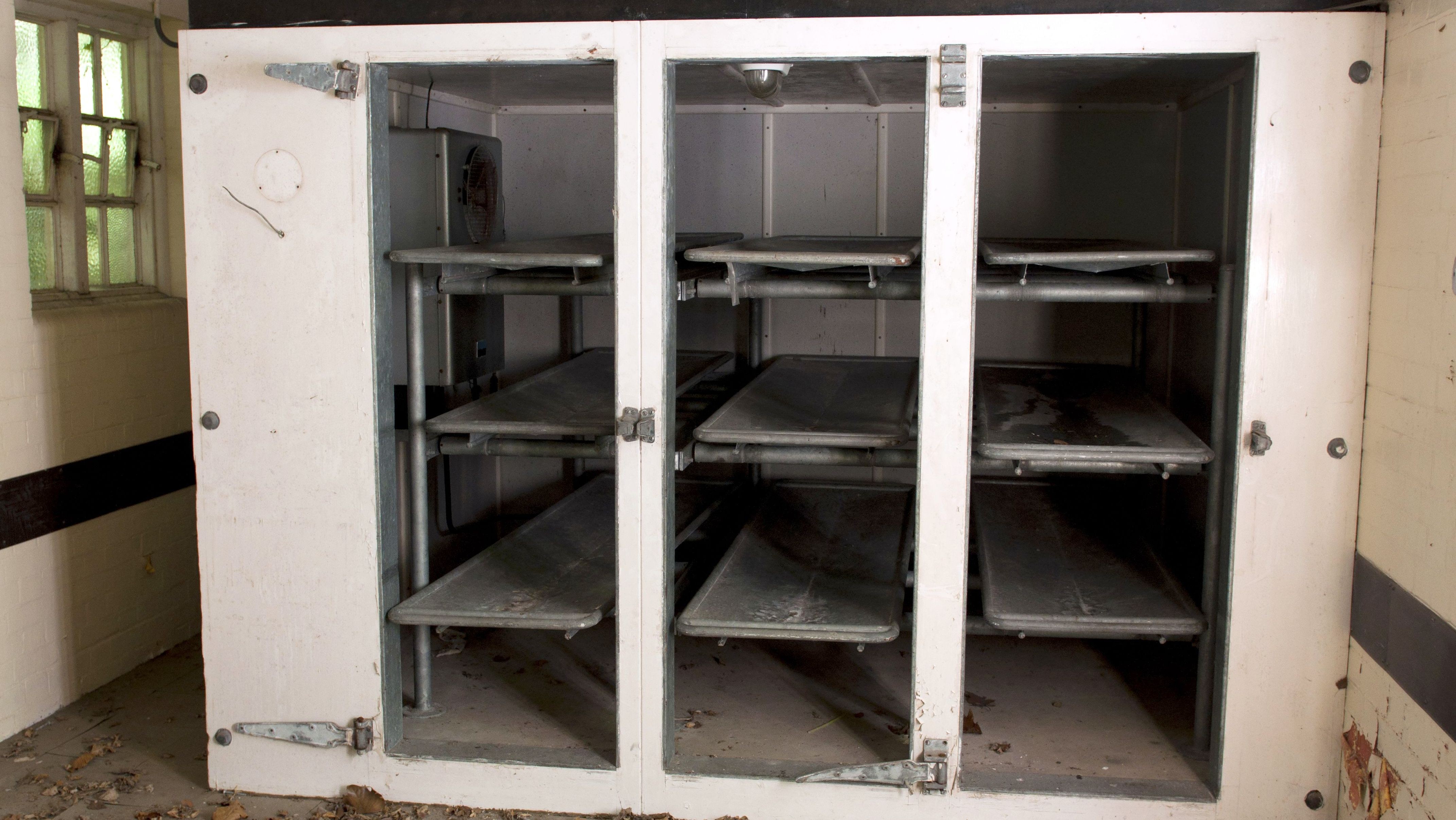 Chladiaci_box_márnica